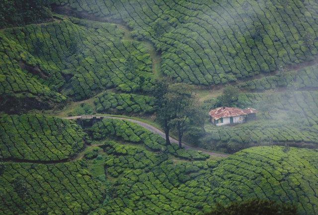 Top 10 Monsoon Destinations in India